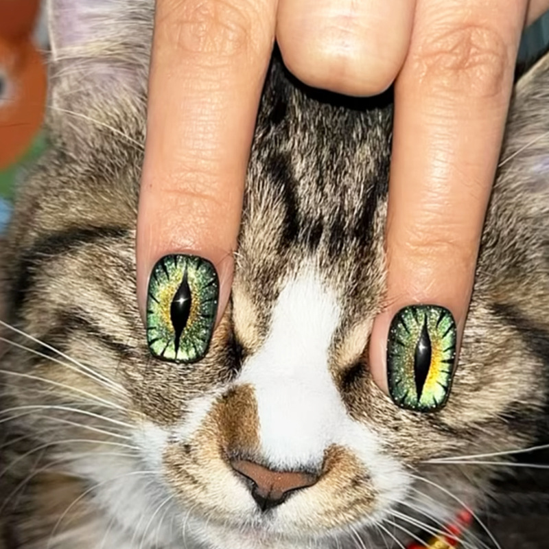Short fake nails for women shi - Nail Art Full Cat Eye avis et prix