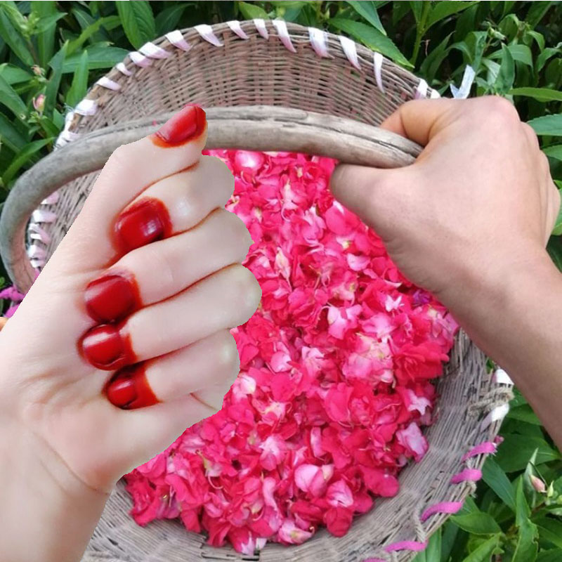 40g Henna Nail Dye Powder For  - Nail Art Red avis et prix